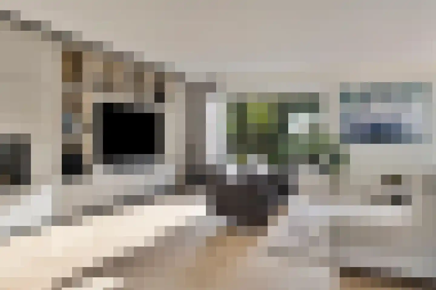 Kleine Wijken 27 's-Hertogenbosch thumbnail 9