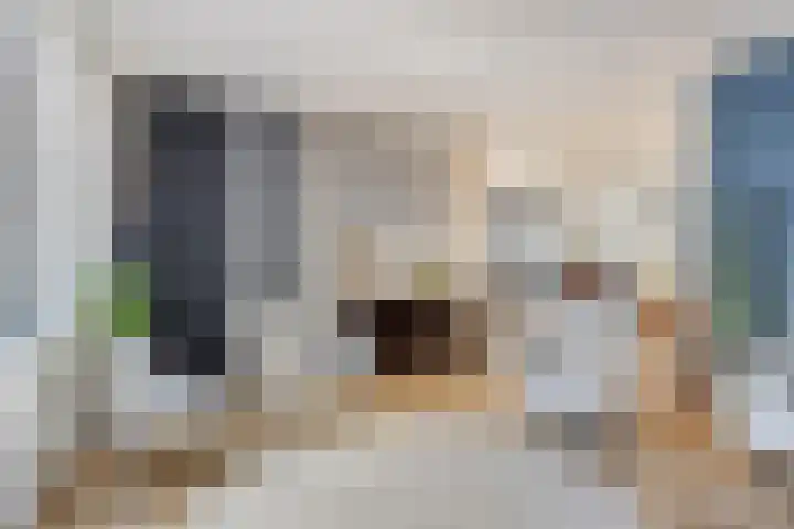 Kleine Wittenburgerstraat 34 Amsterdam thumbnail 4
