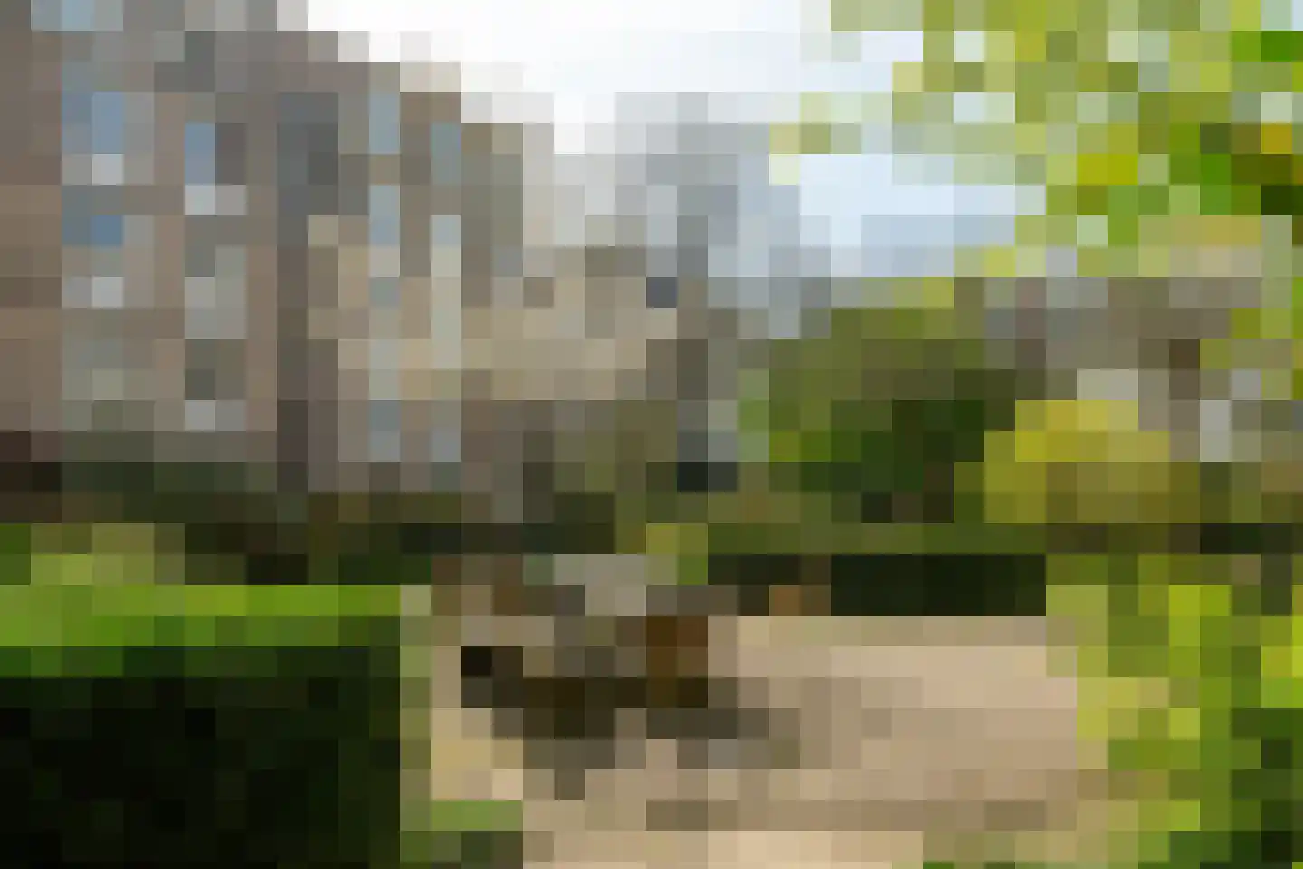 Kleine Wittenburgerstraat 92 Amsterdam thumbnail 22