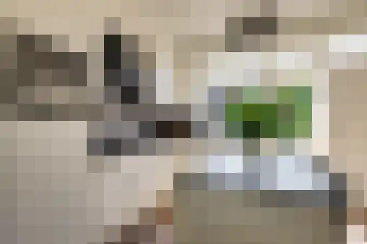Kleine Woerdlaan 25 Naaldwijk thumbnail 10