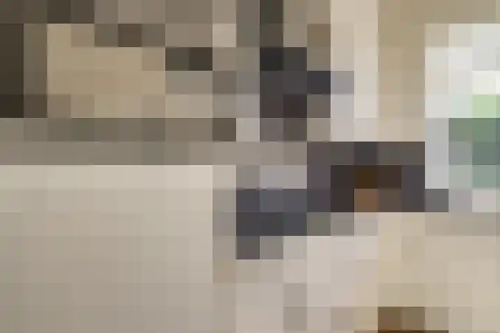 Kleine Woerdlaan 25 Naaldwijk thumbnail 11