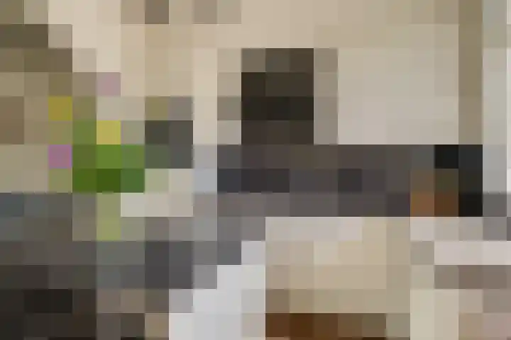 Kleine Woerdlaan 25 Naaldwijk thumbnail 12
