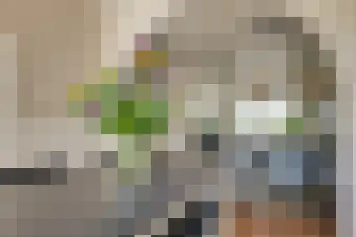 Kleine Woerdlaan 25 Naaldwijk thumbnail 13