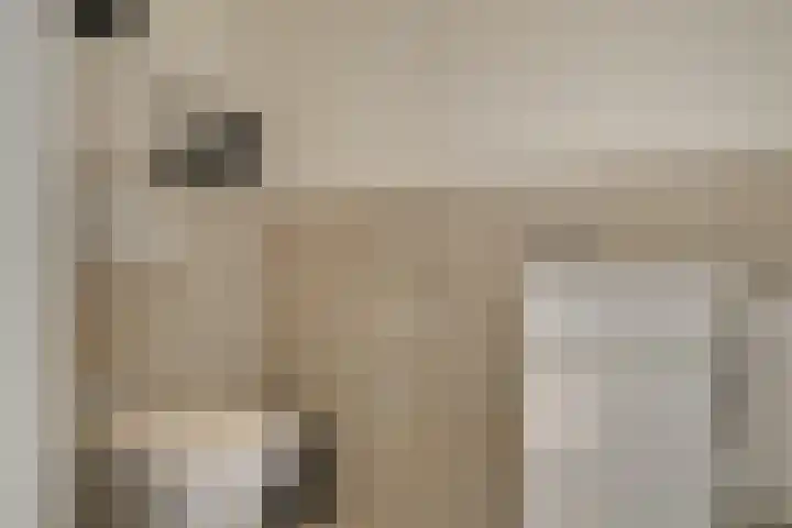 Kleine Woerdlaan 25 Naaldwijk thumbnail 14