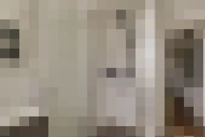 Kleine Woerdlaan 25 Naaldwijk thumbnail 26