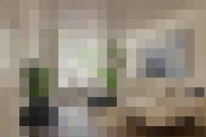 Kleine Woerdlaan 25 Naaldwijk foto 3