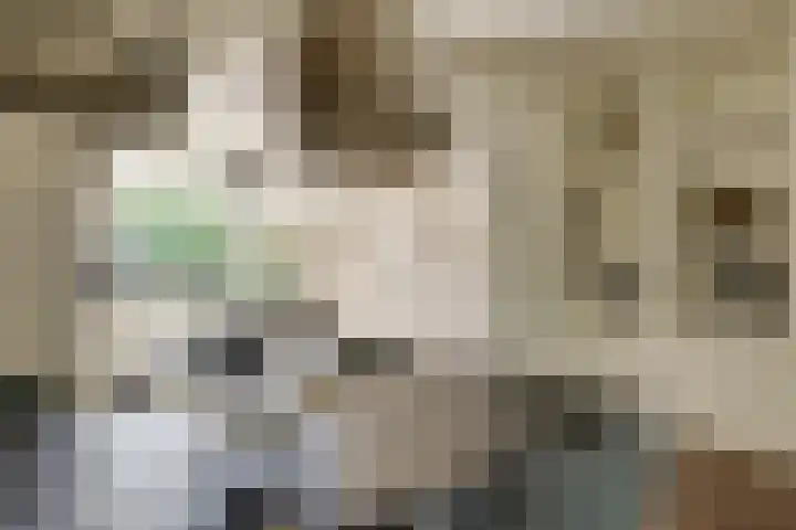 Kleine Woerdlaan 25 Naaldwijk thumbnail 6