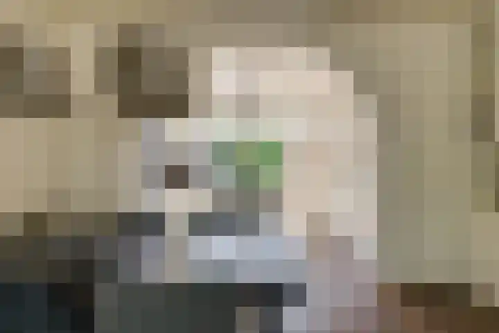 Kleine Woerdlaan 25 Naaldwijk thumbnail 9