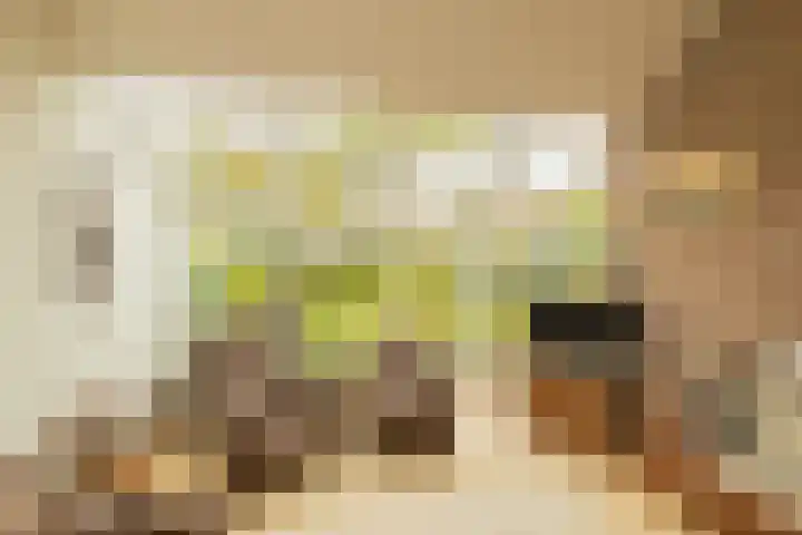 Kleine Woerdlaan 32 Naaldwijk thumbnail 11