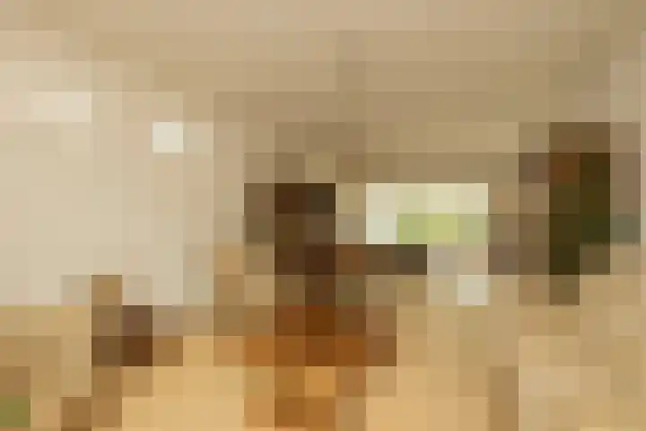 Kleine Woerdlaan 32 Naaldwijk thumbnail 14