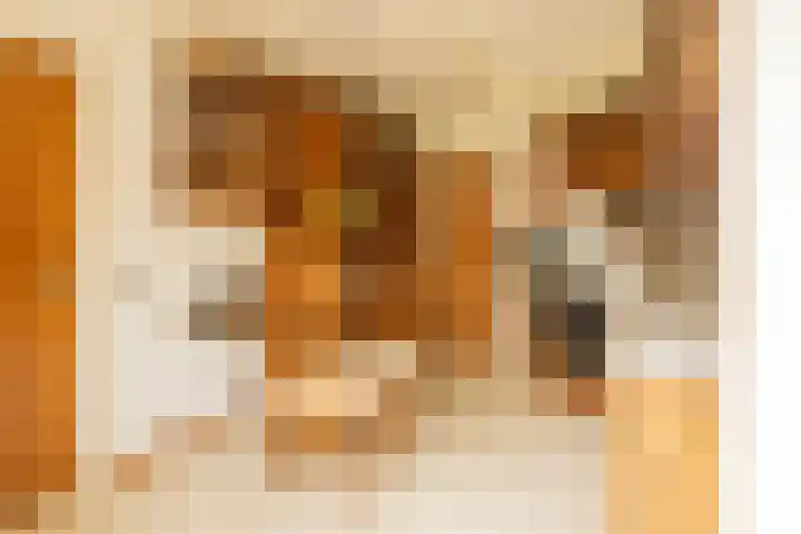 Kleine Woerdlaan 32 Naaldwijk thumbnail 18