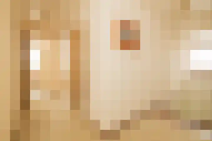Kleine Woerdlaan 32 Naaldwijk thumbnail 35