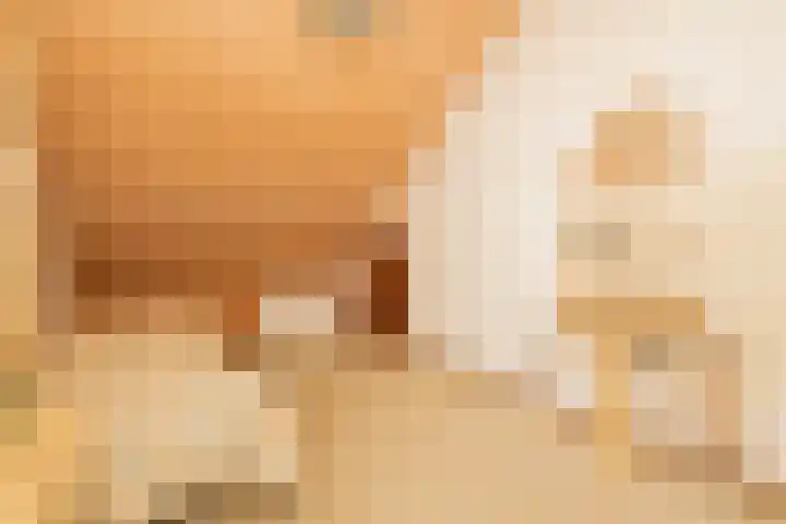 Kleine Woerdlaan 32 Naaldwijk thumbnail 38