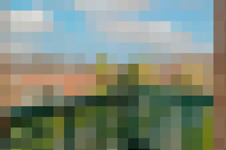 Kleine Woerdlaan 32 Naaldwijk thumbnail 39