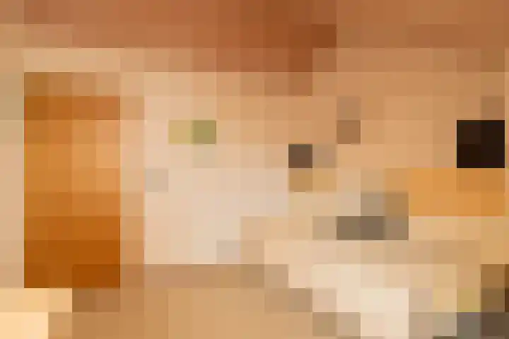 Kleine Woerdlaan 32 Naaldwijk thumbnail 43