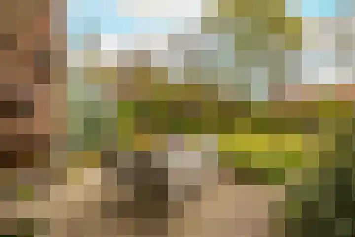 Kleine Woerdlaan 32 Naaldwijk thumbnail 44