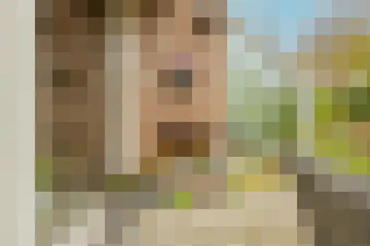 Kleine Woerdlaan 32 Naaldwijk thumbnail 45