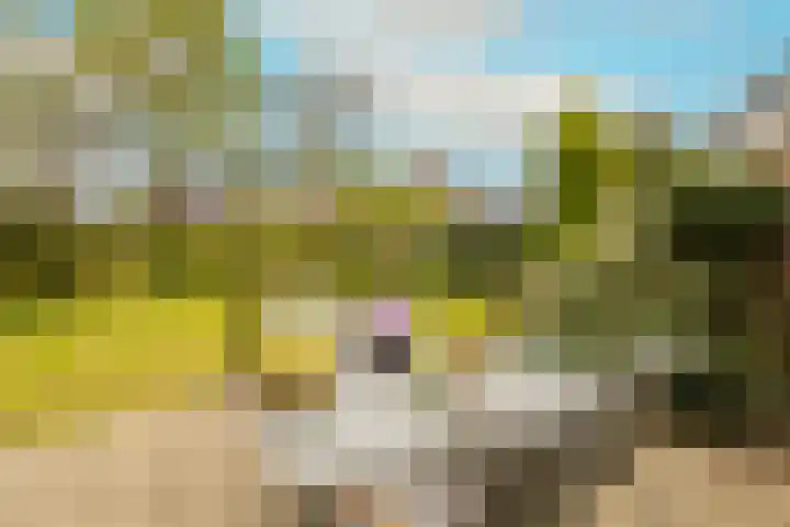Kleine Woerdlaan 32 Naaldwijk thumbnail 46