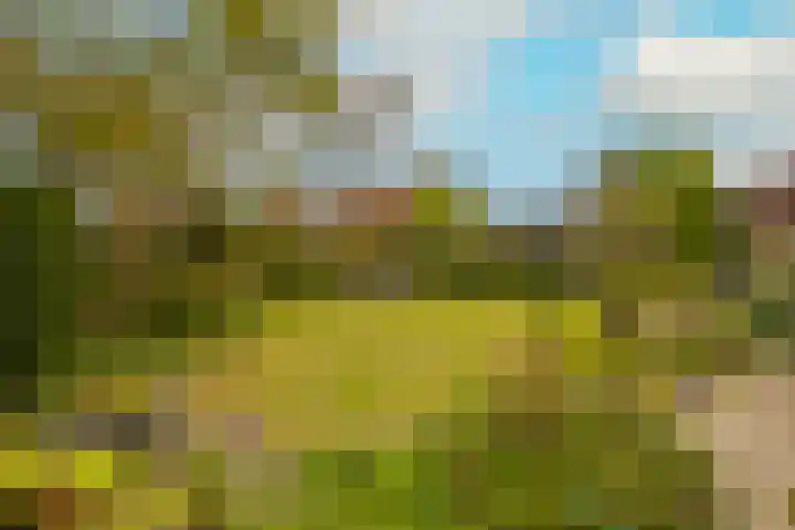 Kleine Woerdlaan 32 Naaldwijk thumbnail 47