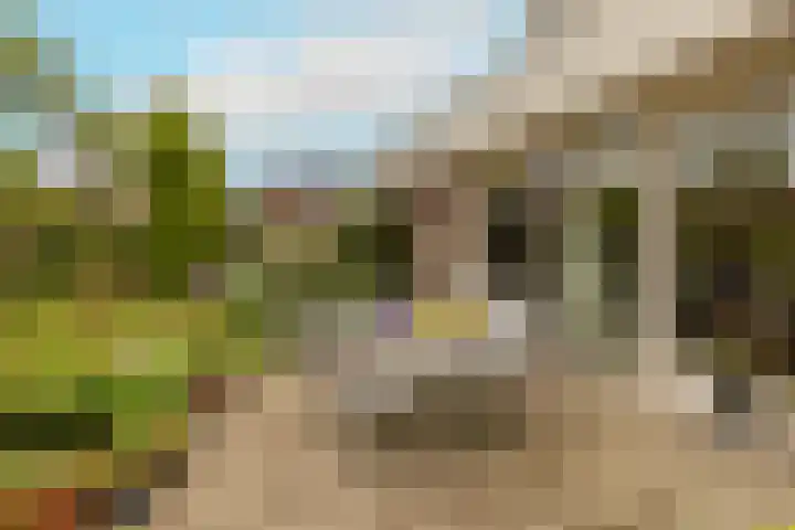 Kleine Woerdlaan 32 Naaldwijk thumbnail 48