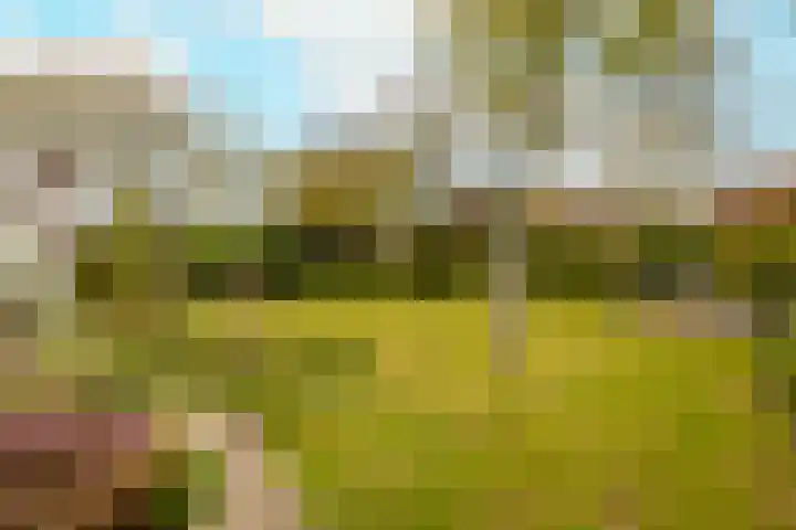 Kleine Woerdlaan 32 Naaldwijk thumbnail 49