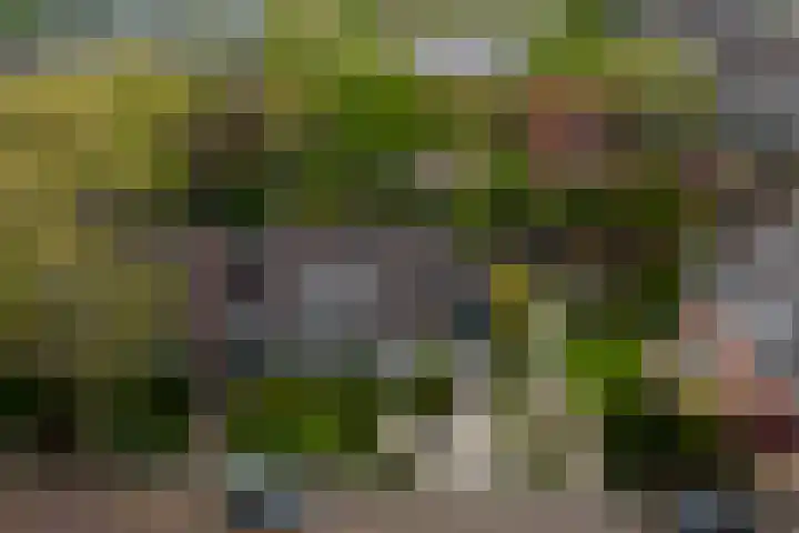 Kleine Woerdlaan 32 Naaldwijk thumbnail 5