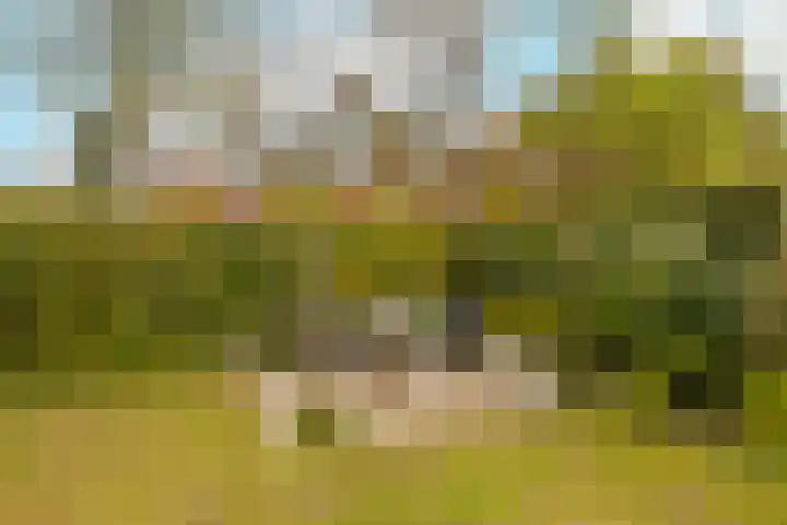 Kleine Woerdlaan 32 Naaldwijk thumbnail 50
