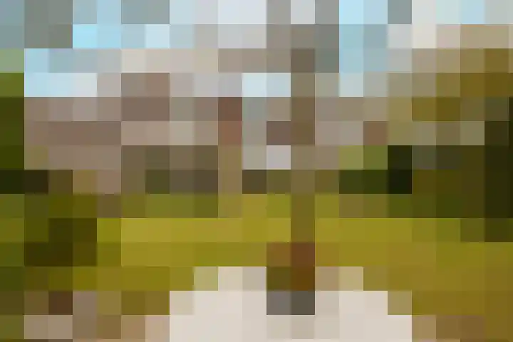 Kleine Woerdlaan 32 Naaldwijk thumbnail 51