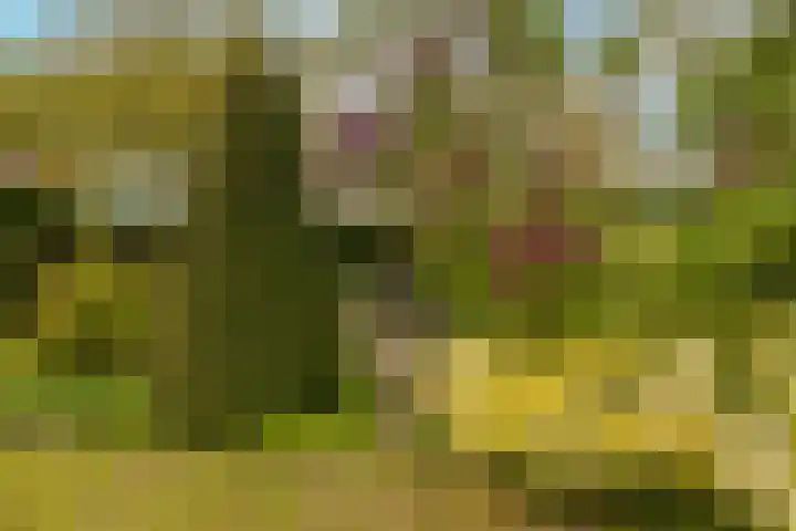 Kleine Woerdlaan 32 Naaldwijk thumbnail 52