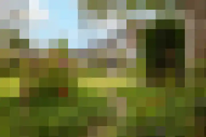 Kleine Woerdlaan 32 Naaldwijk thumbnail 53