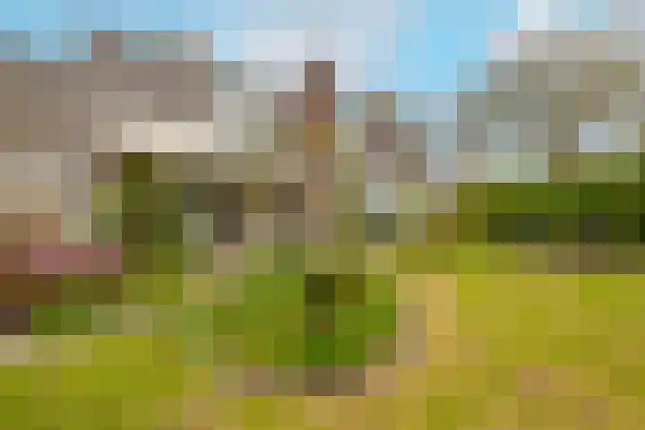 Kleine Woerdlaan 32 Naaldwijk thumbnail 54