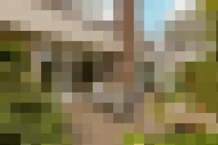 Kleine Woerdlaan 32 Naaldwijk thumbnail 55