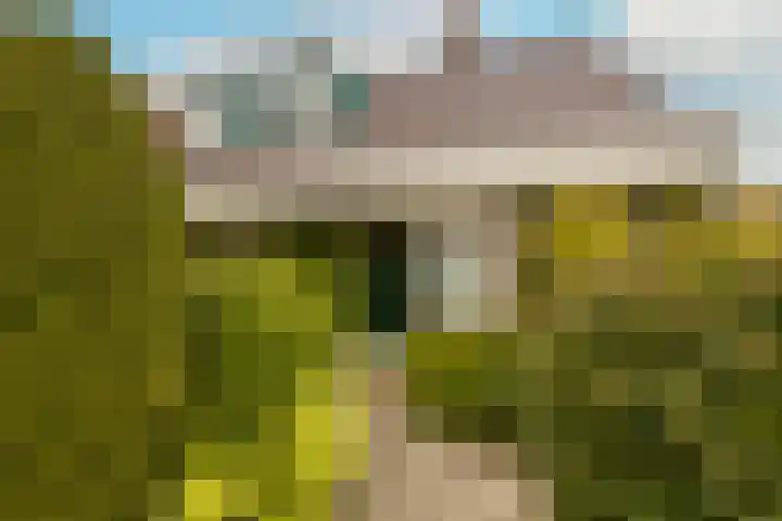 Kleine Woerdlaan 32 Naaldwijk thumbnail 6