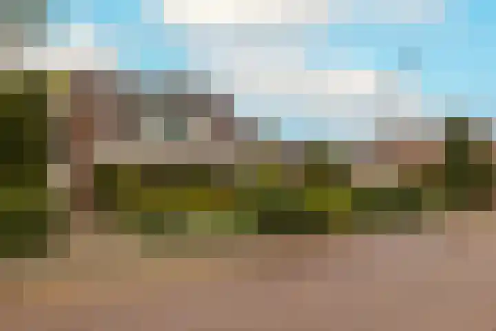 Kleine Woerdlaan 32 Naaldwijk thumbnail 60