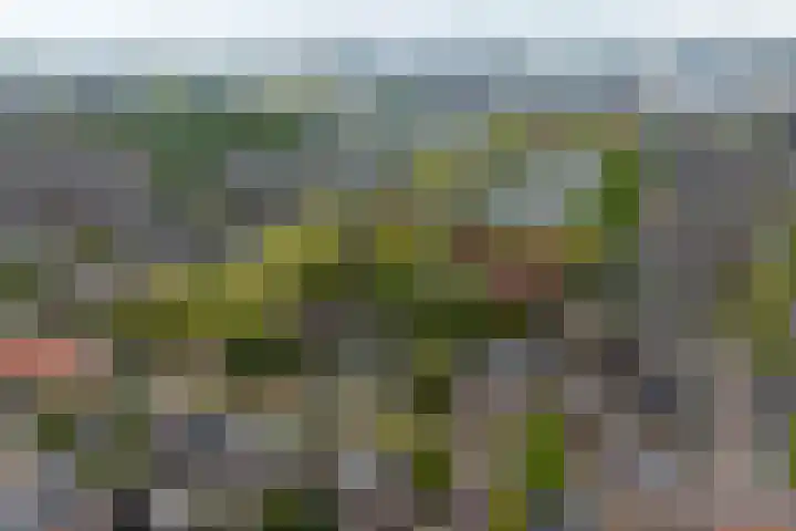 Kleine Woerdlaan 32 Naaldwijk thumbnail 61