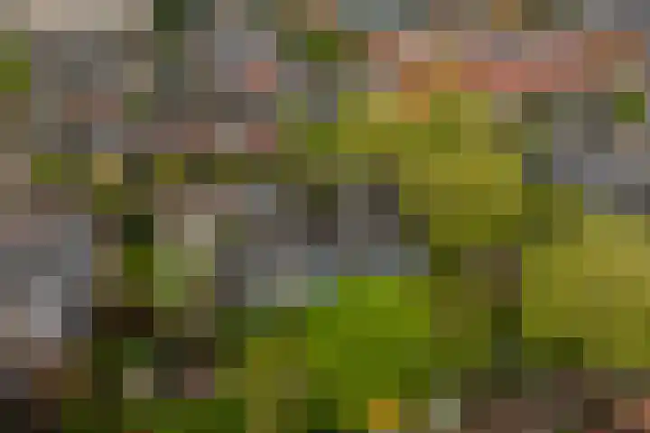 Kleine Woerdlaan 32 Naaldwijk thumbnail 62