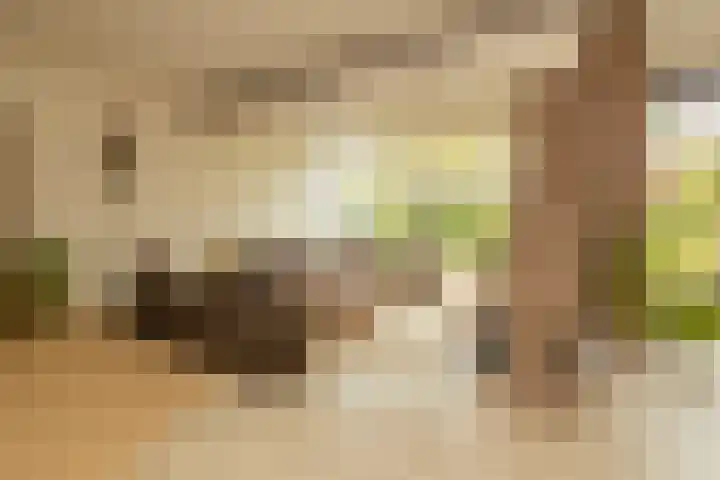 Kleine Woerdlaan 32 Naaldwijk thumbnail 9