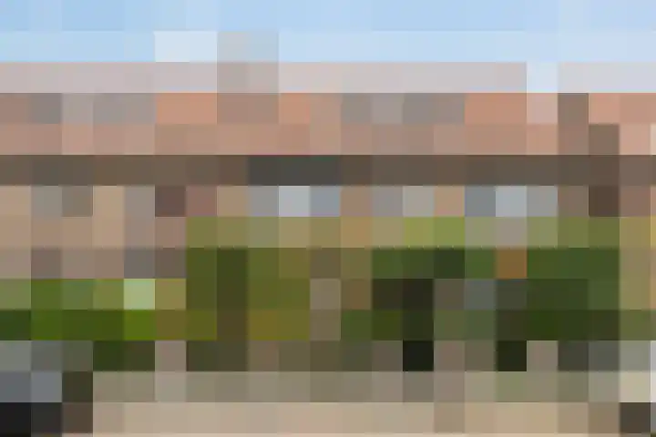 Kleine Woerdlaan 45 Naaldwijk