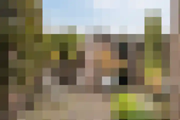 Kleine Woerdlaan 45 Naaldwijk thumbnail 10