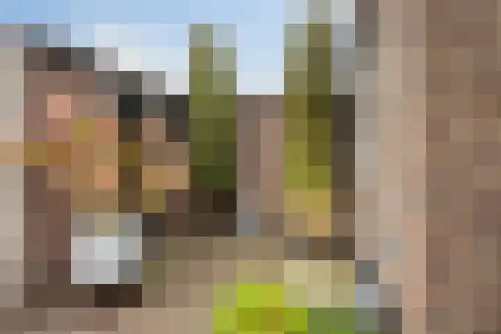 Kleine Woerdlaan 45 Naaldwijk thumbnail 11