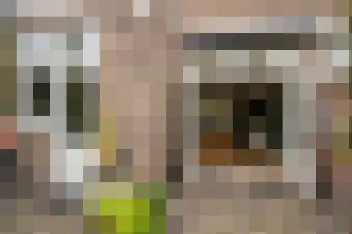 Kleine Woerdlaan 45 Naaldwijk thumbnail 12