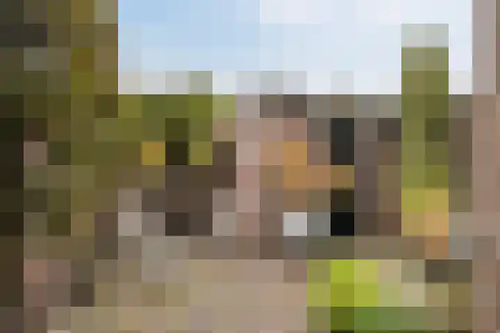 Kleine Woerdlaan 45 Naaldwijk foto 3
