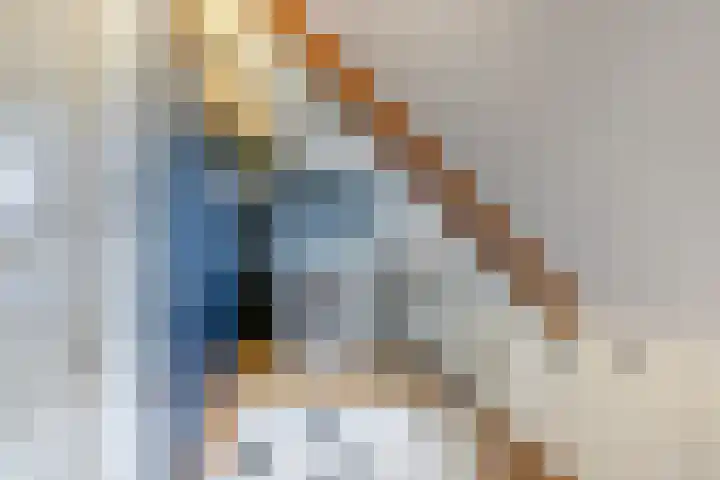 Kleine Woerdlaan 45 Naaldwijk thumbnail 34