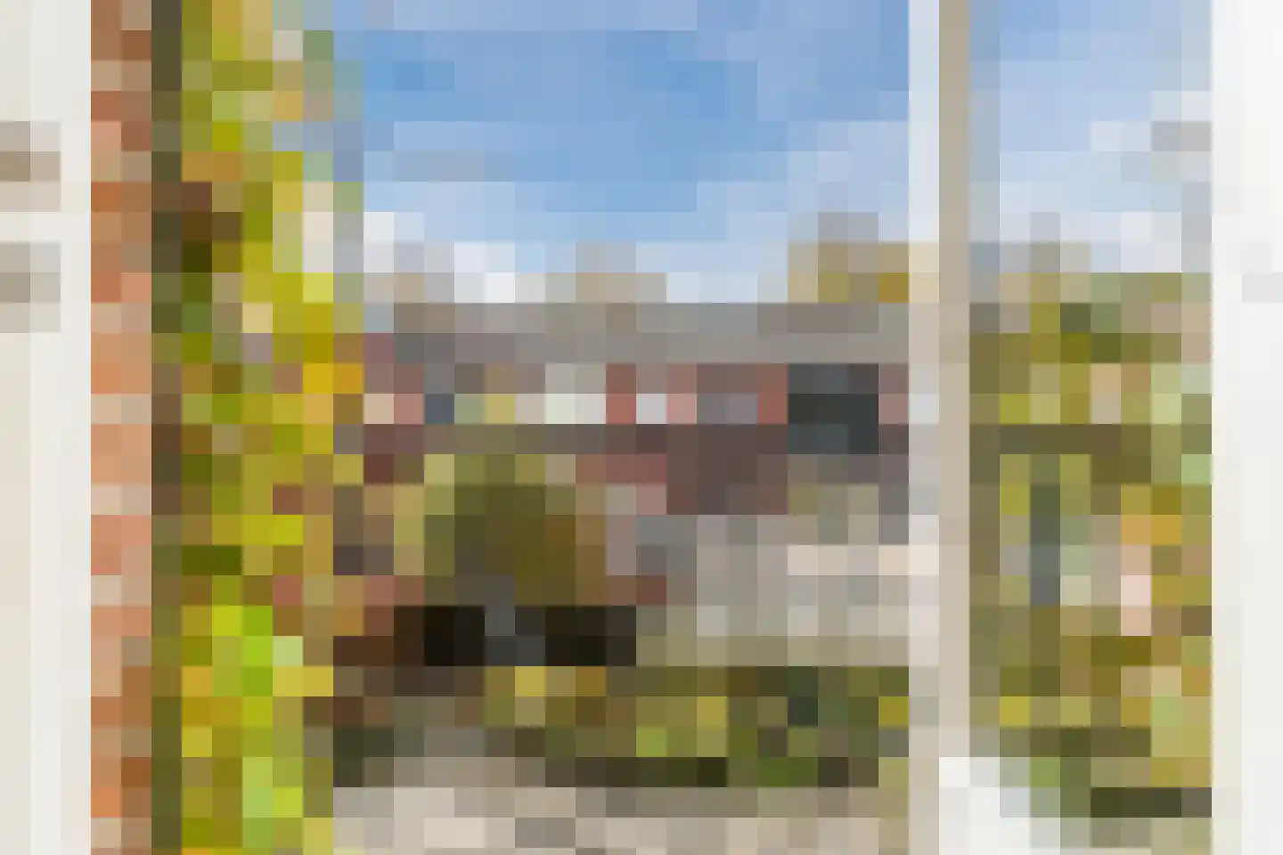 Kleine Woerdlaan 53 Naaldwijk thumbnail 23