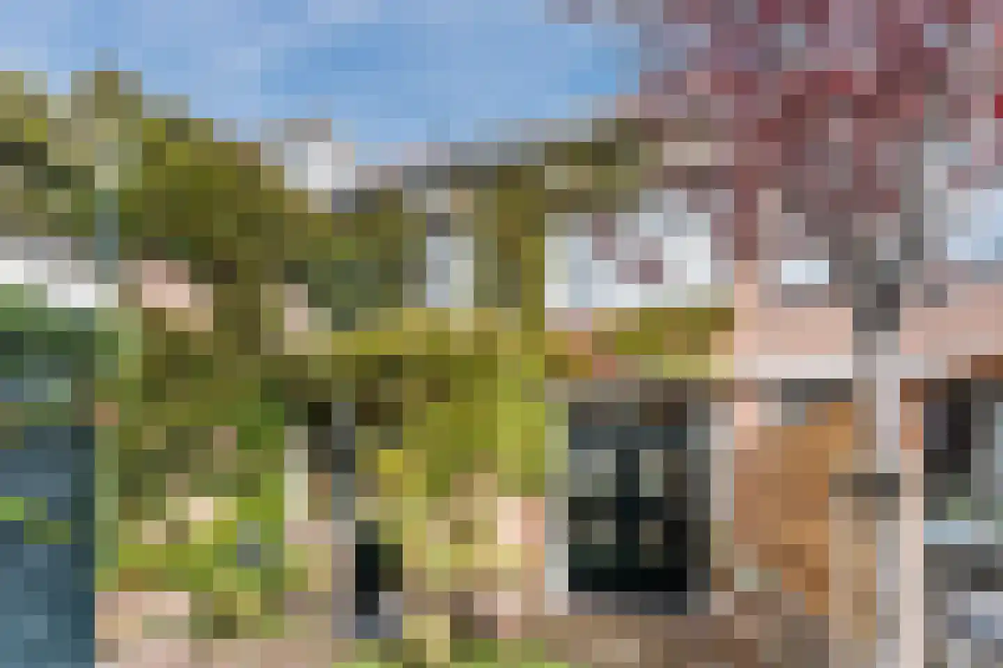 Kleine Woerdlaan 53 Naaldwijk foto 3