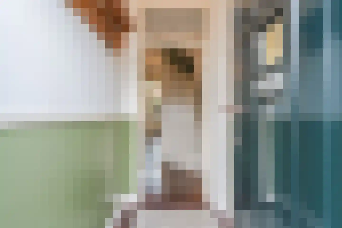 Kleine Woerdlaan 53 Naaldwijk thumbnail 4
