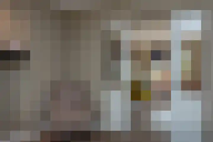 Kleine Woldweg 10 A Oosterwolde Gld thumbnail 18