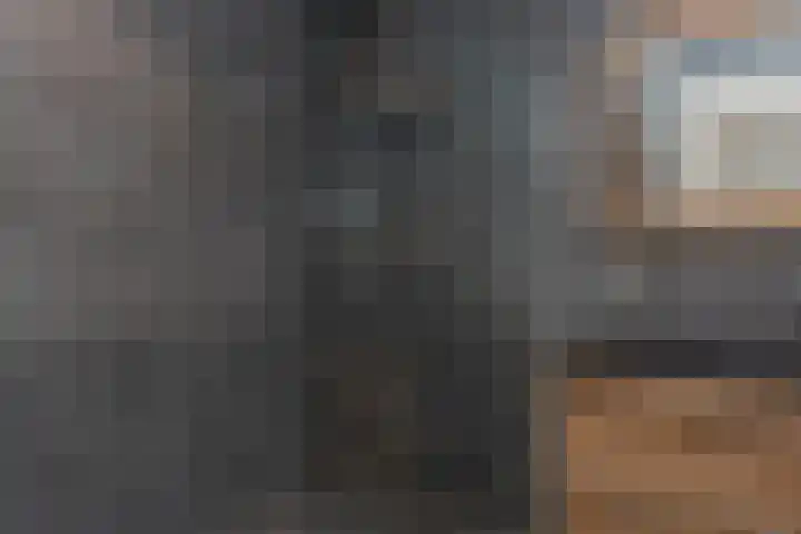 Kleine Woldweg 10 A Oosterwolde Gld thumbnail 30