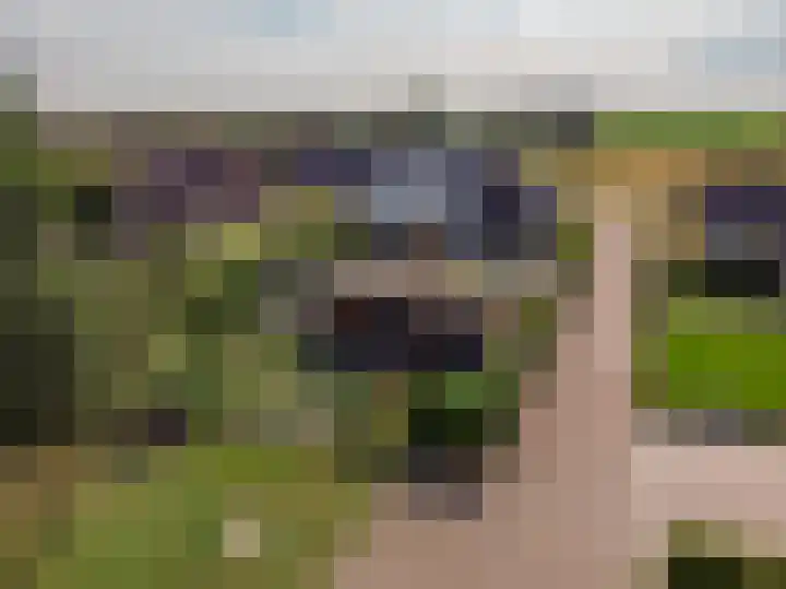 Kleine Woldweg 10 A Oosterwolde Gld thumbnail 4
