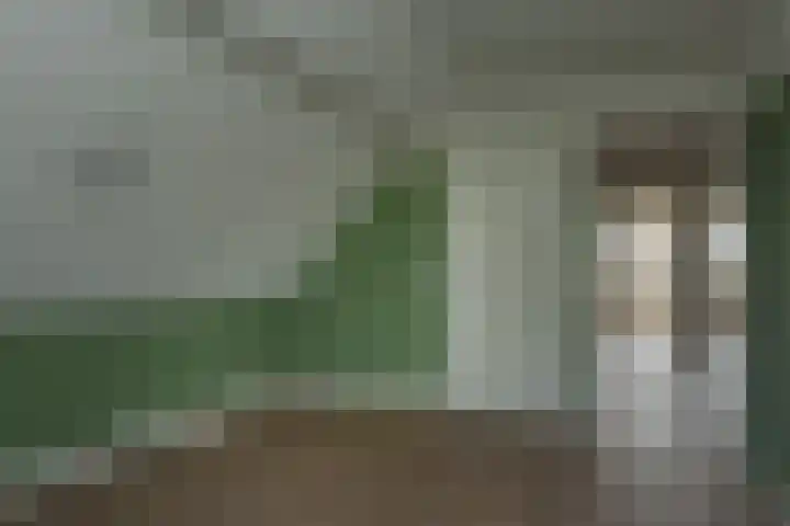 Kleine Woldweg 10 A Oosterwolde Gld thumbnail 50